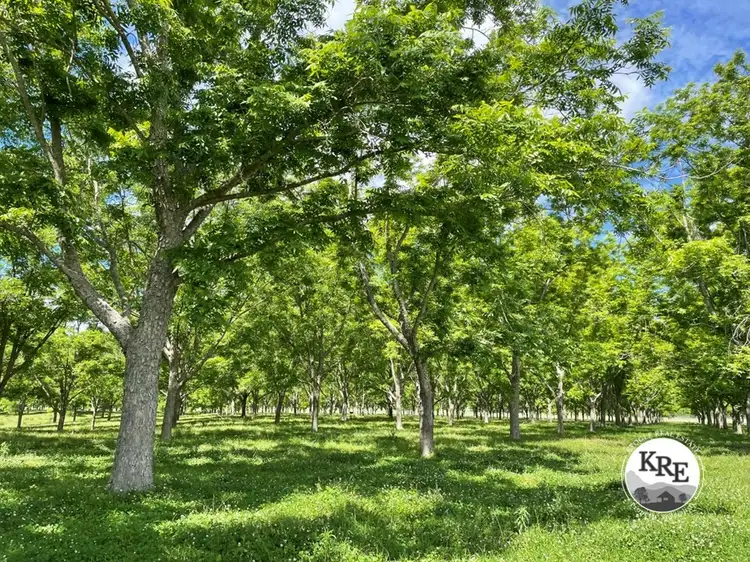 Third view of Homely rural property listing, 139 Homestead Road, Kyogle NSW 2474