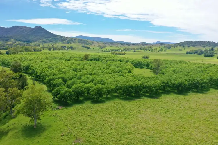Fourth view of Homely rural property listing, 139 Homestead Road, Kyogle NSW 2474