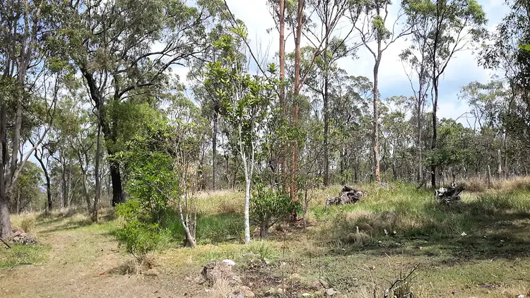 Fifth view of Homely rural property listing, 906 Wooroora Rd, Millstream QLD 4888