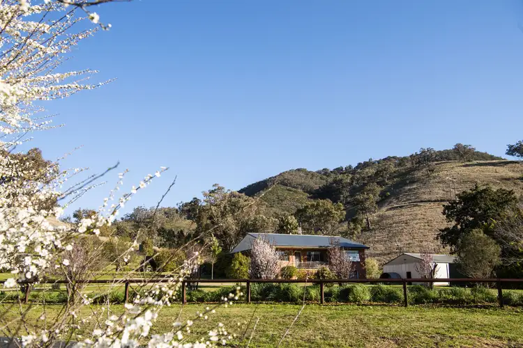 1110 Queens Pinch Rd, Mullamuddy NSW 2850