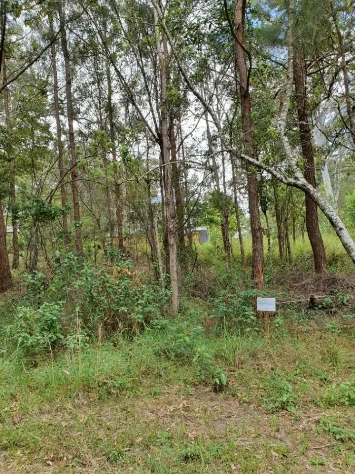 Main view of Homely land listing, 11 Eyre, Russell Island QLD 4184