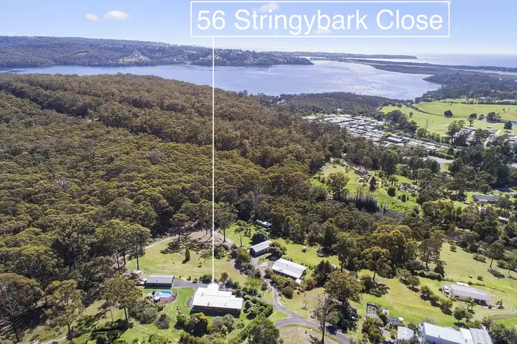 Second view of Homely rural property listing, 56 Stringybark Pl, Millingandi Via, Pambula NSW 2549