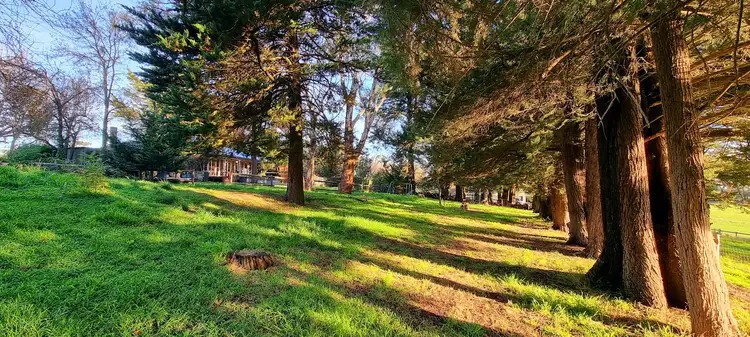 Fifth view of Homely house listing, 10 Shepherd Rd, Chapel Hill SA 5153