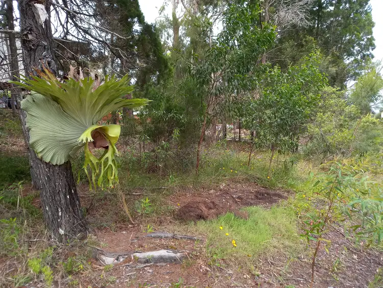 Second view of Homely land listing, 38 Trimaran St, Russell Island QLD 4184