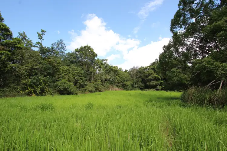 Third view of Homely land listing, 29 Cleminson Cl, Malanda QLD 4885