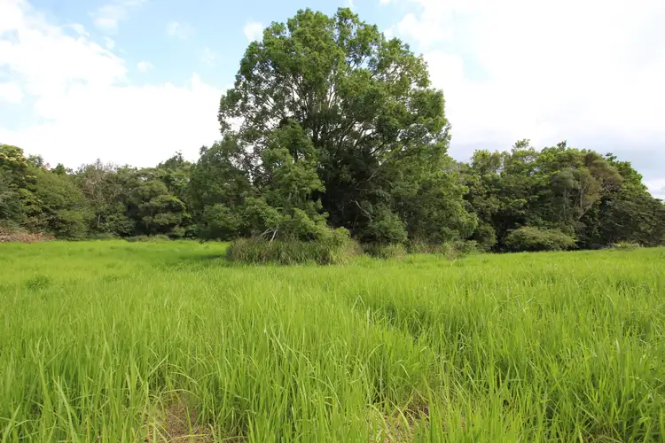 Fifth view of Homely land listing, 29 Cleminson Cl, Malanda QLD 4885