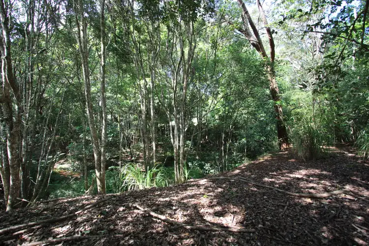 Sixth view of Homely land listing, 29 Cleminson Cl, Malanda QLD 4885