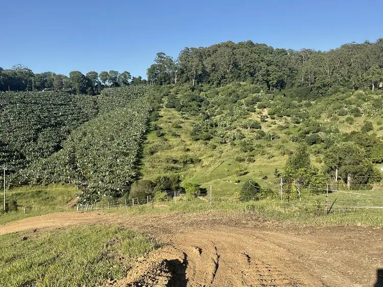 Main view of Homely land listing, 420e Coramba Road, Coffs Harbour NSW 2450