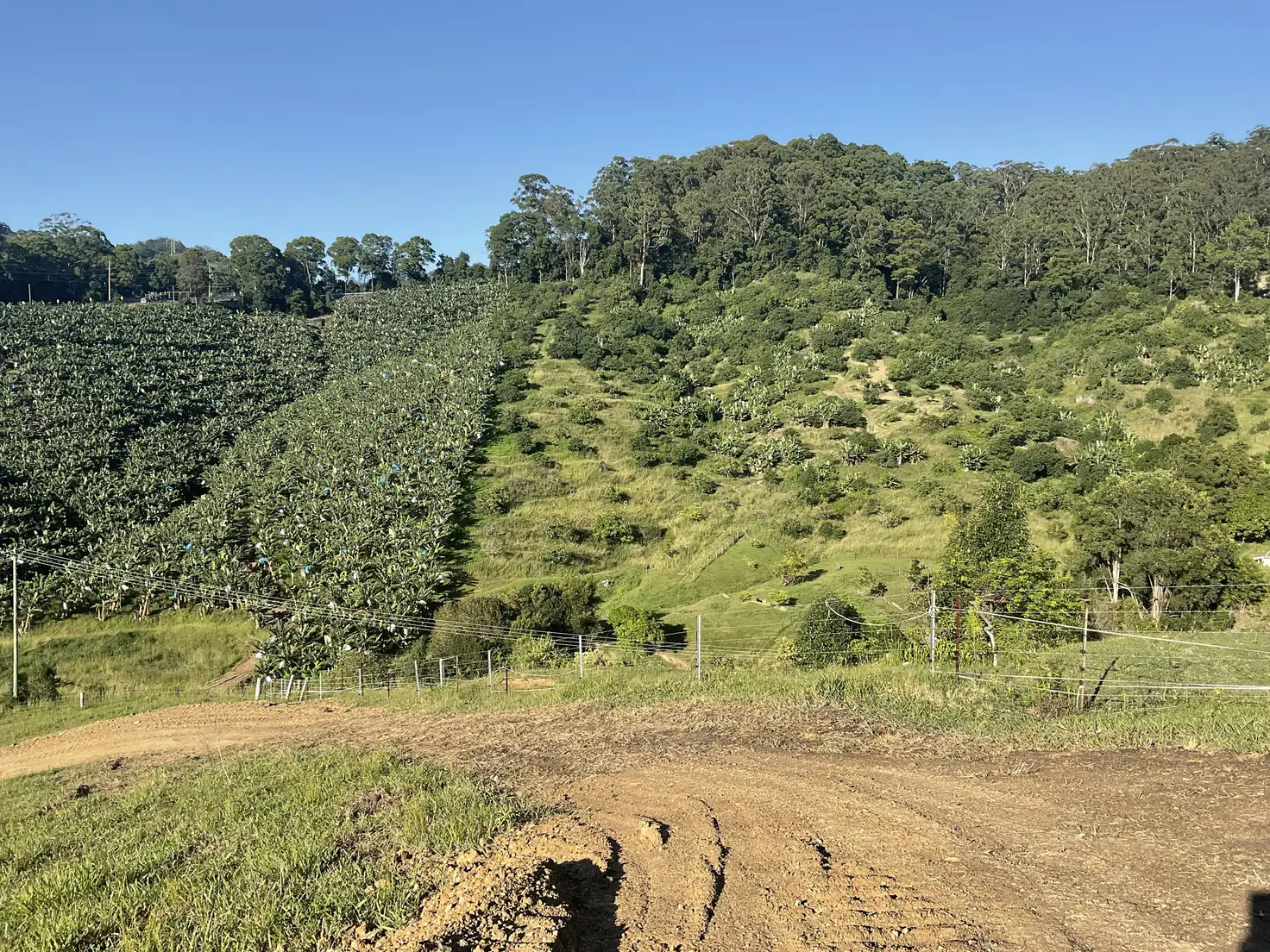Main view of Homely land listing, 420e Coramba Road, Coffs Harbour NSW 2450