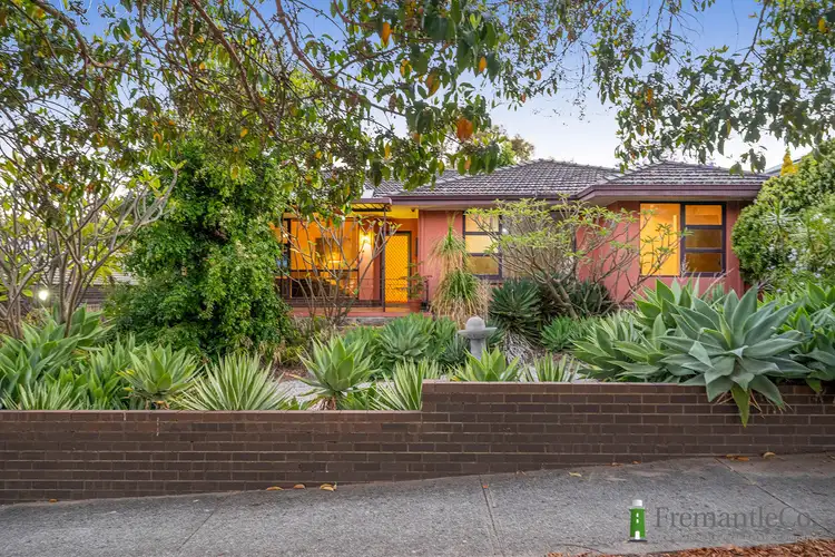23 Holmes Pl, Hilton WA 6163