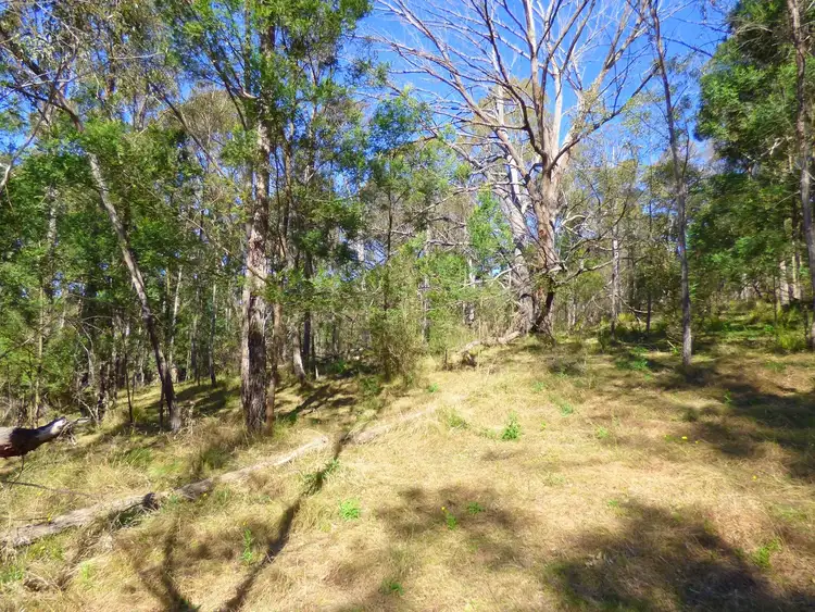 Fifth view of Homely land listing, Lot 177 Umback Road, Wyndham NSW 2550