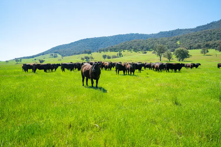 . Timberlane Road, Tallangatta South VIC 3701