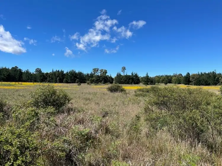 Second view of Homely land listing, Lot/218 Sunrise Road, Sugarloaf QLD 4380