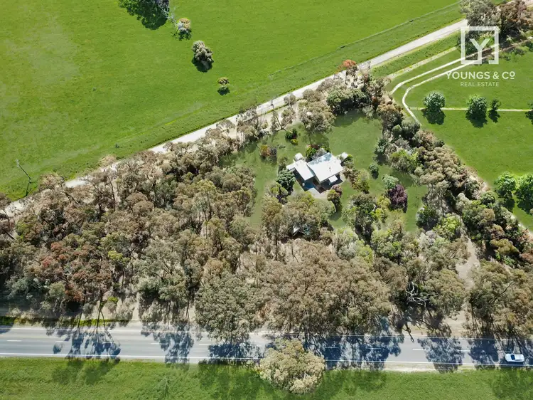 Main view of Homely house listing, 1920 Toolamba Road, Murchison North VIC 3610
