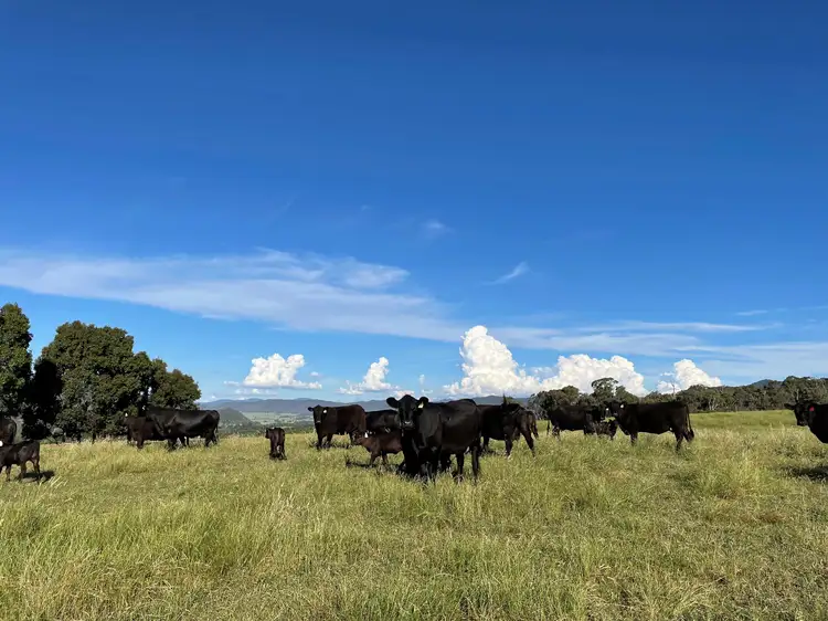 Fourth view of Homely rural property listing, (Part)/714 Happy Valley Rd, Myrtleford VIC 3737