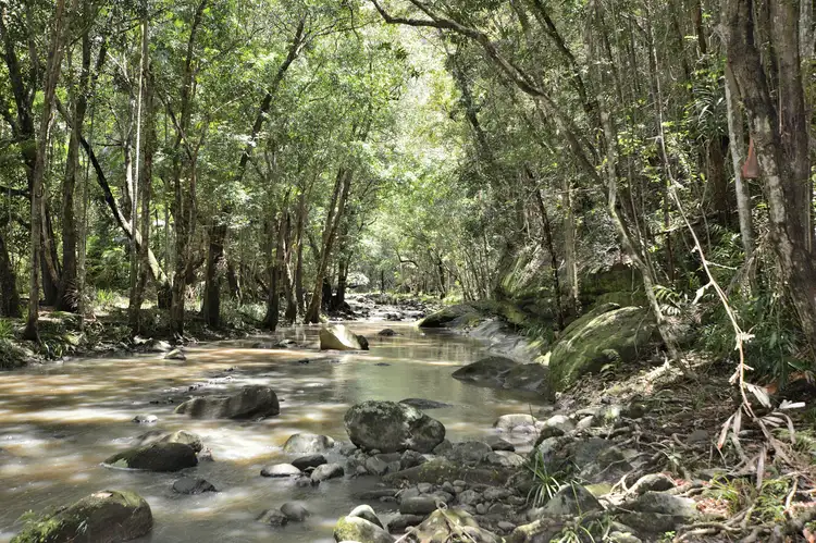 Fourth view of Homely land listing, 2 Brooks Rd, Eudlo QLD 4554