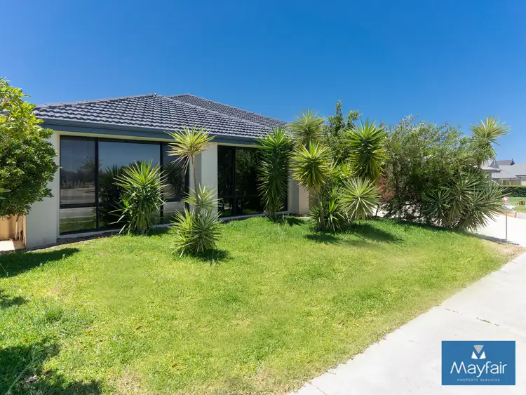 Main view of Homely house listing, 138 Benenden Avenue, Butler WA 6036