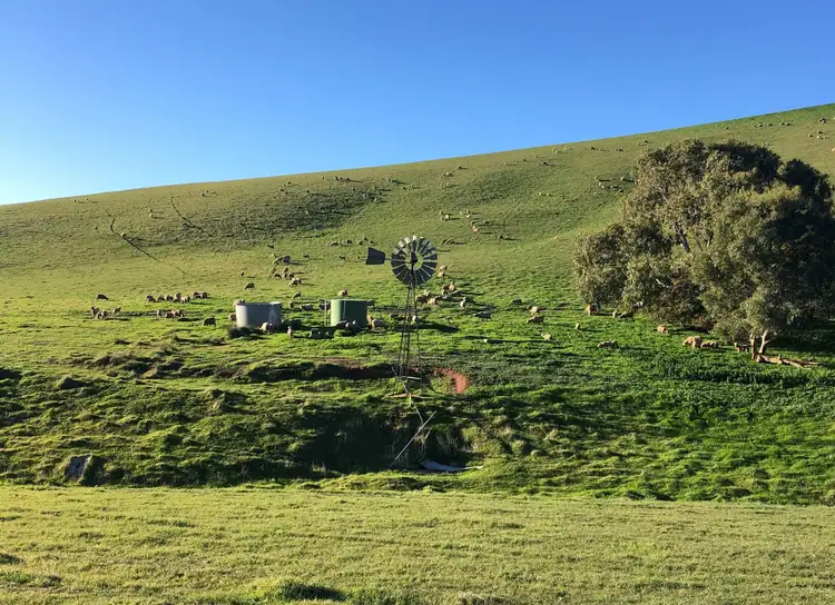 Fourth view of Homely rural property listing, 348 Humphris Rd, West Bundaleer SA 5491
