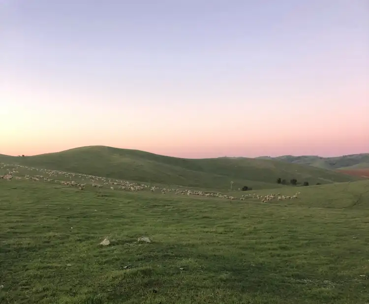 Sixth view of Homely rural property listing, 348 Humphris Rd, West Bundaleer SA 5491
