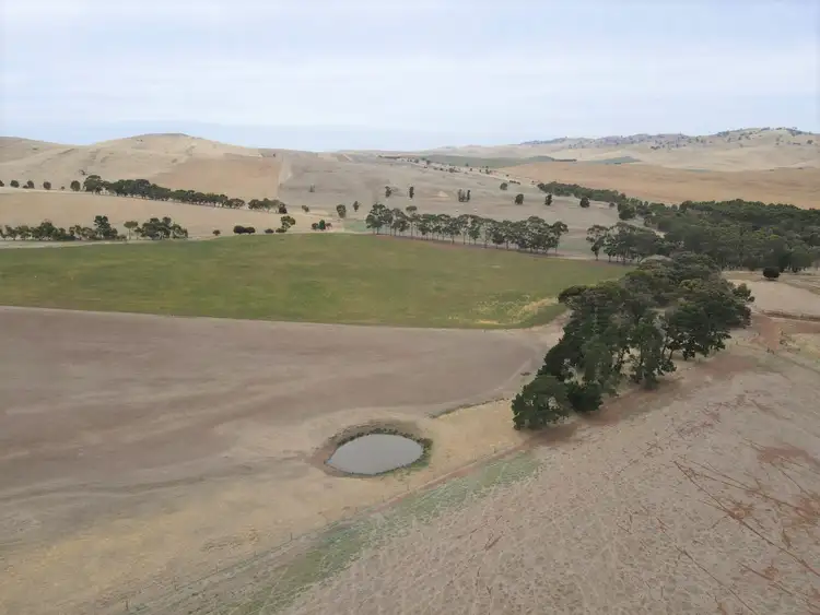 Seventh view of Homely rural property listing, 348 Humphris Rd, West Bundaleer SA 5491