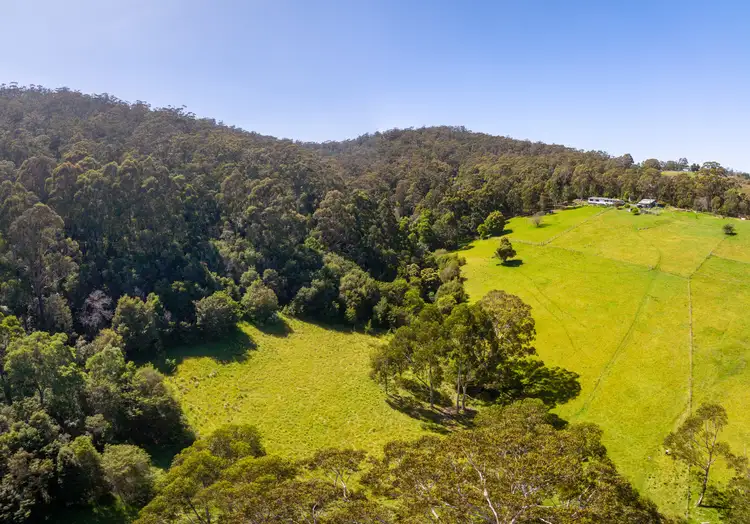 Second view of Homely rural property listing, 550 Nethercote Rd, Nethercote NSW 2549