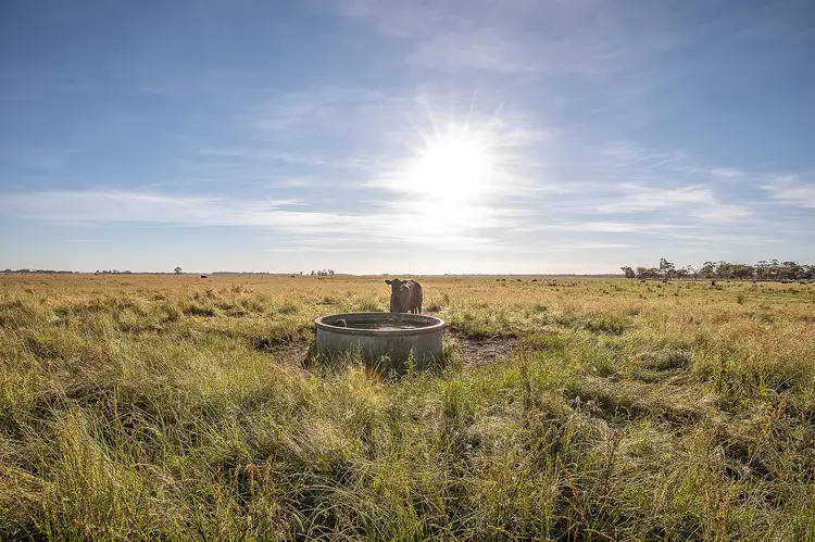 Second view of Homely rural property listing, 1317 Kangaroo Flat Rd, Glencoe SA 5291