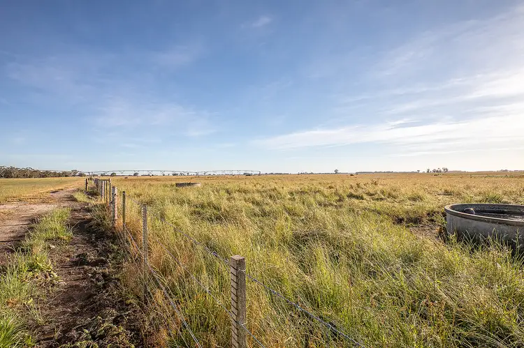 Sixth view of Homely rural property listing, 1317 Kangaroo Flat Rd, Glencoe SA 5291