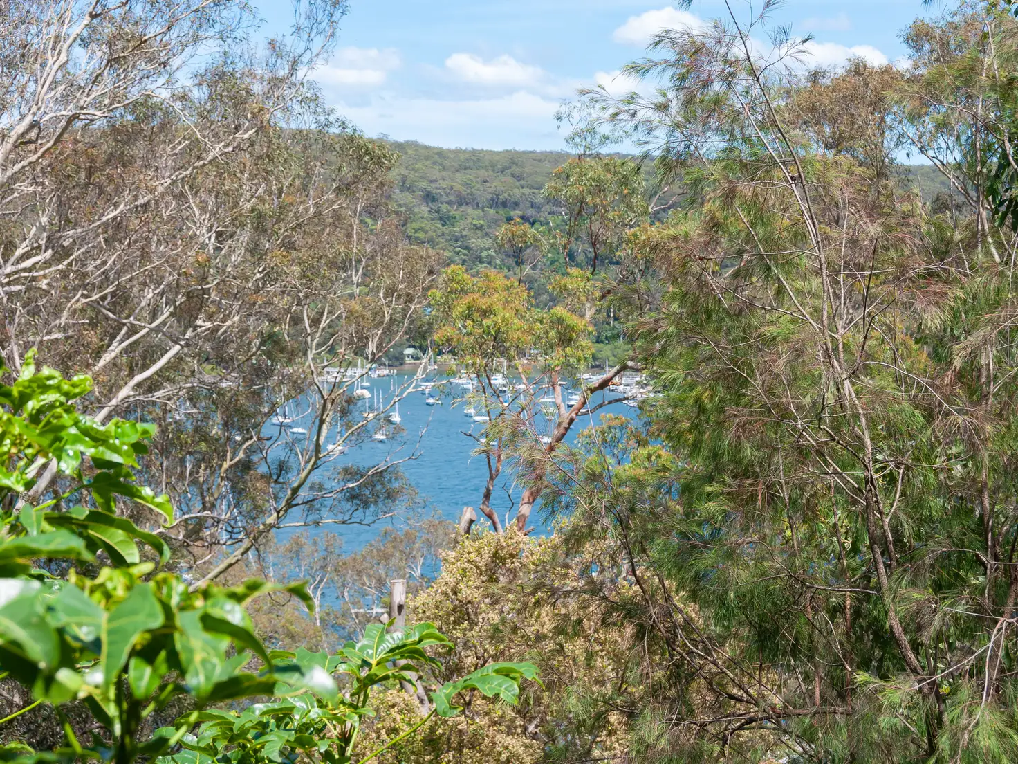 Main view of Homely house listing, 141 Thompson St, Scotland Island NSW 2105
