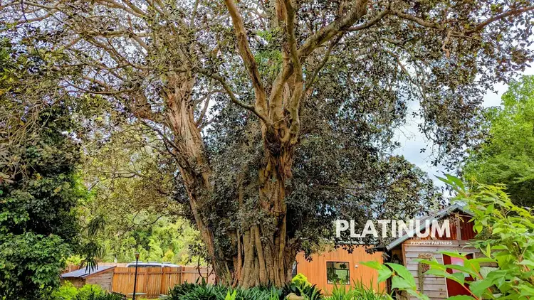 Third view of Homely house listing, 18 Kells Rd, Tomerong NSW 2540