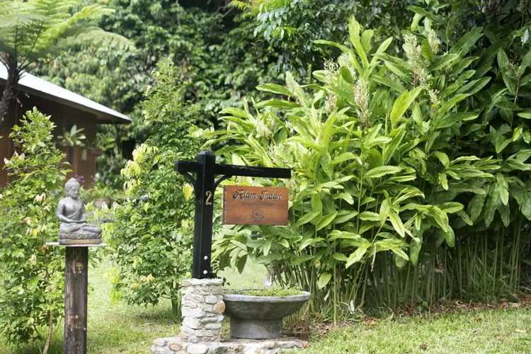 Main view of Homely house listing, 2/627 Bingil Bay Road, Bingil Bay QLD 4852
