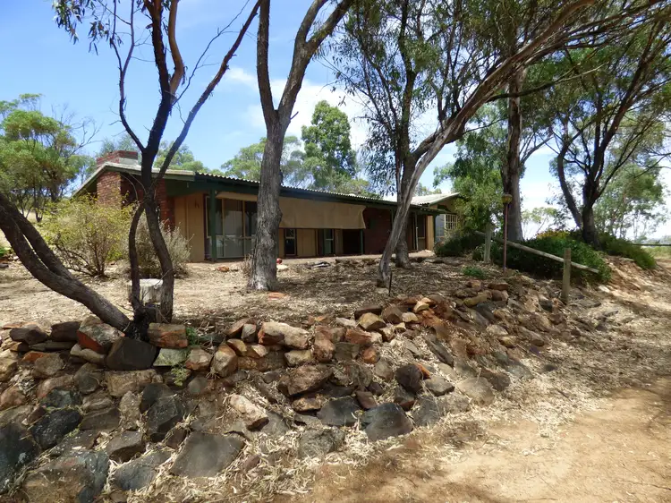 100 Hasson Pl, Coondle WA 6566