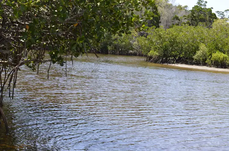 Fifth view of Homely land listing, 10 Davenport Dr, Coonarr QLD 4670