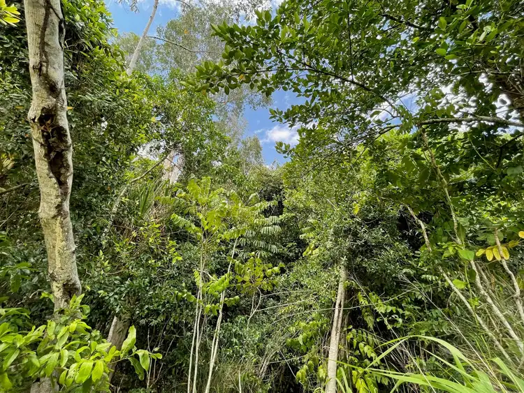 Sixth view of Homely land listing, 22 Nivosa Court, Mission Beach QLD 4852