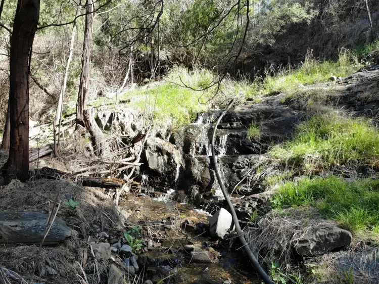 Third view of Homely rural property listing, 'Wattle Creek' Omeo Highway, Eskdale VIC 3701