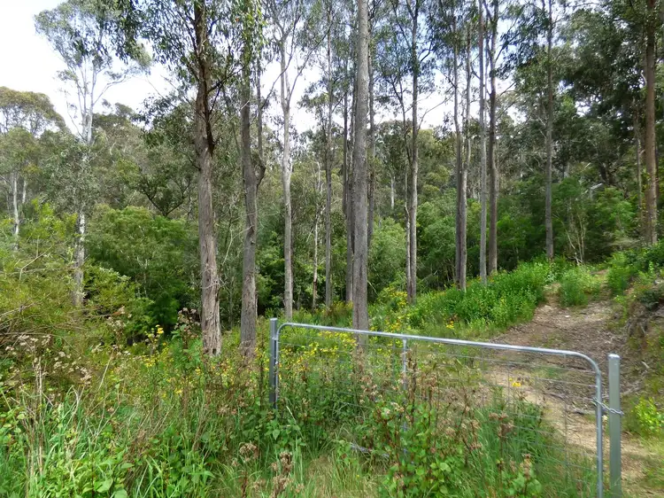 3 Whale Cove Cct, Eden NSW 2551