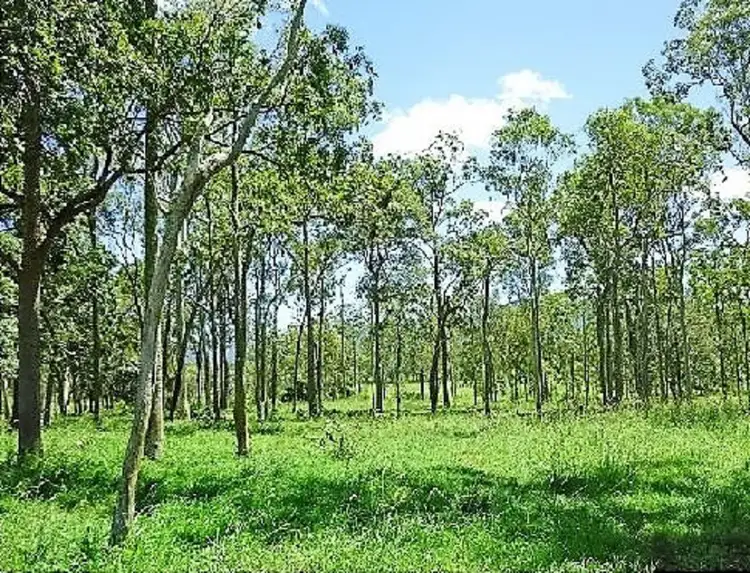Third view of Homely rural property listing, Address available on request