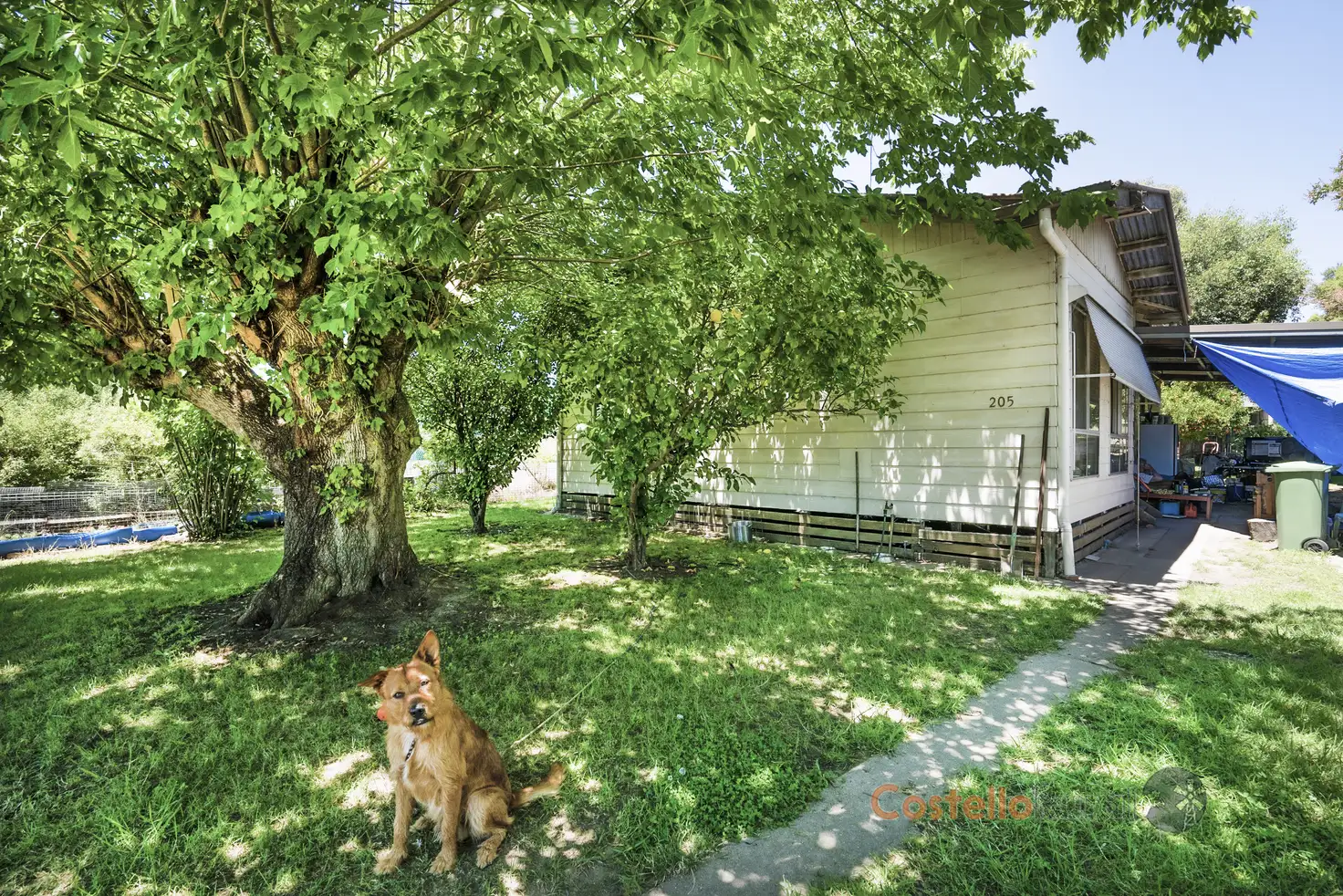 Main view of Homely house listing, 205 Wheeler St, Corryong VIC 3707