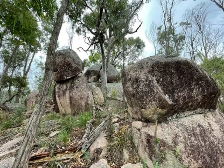 Second view of Homely rural property listing, 27779 New England Hwy, Fletcher QLD 4381