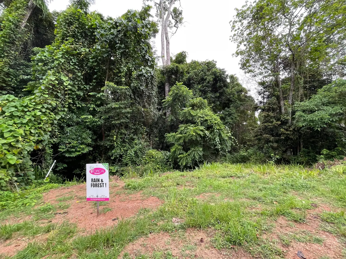 Main view of Homely land listing, 7 Bicton Cl, Bingil Bay QLD 4852