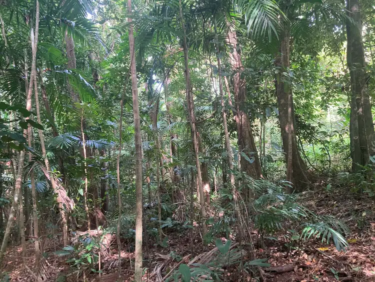 Third view of Homely land listing, 7 Bicton Cl, Bingil Bay QLD 4852
