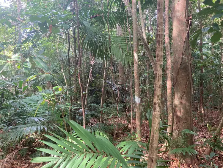 Sixth view of Homely land listing, 7 Bicton Cl, Bingil Bay QLD 4852
