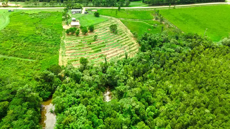 Fourth view of Homely rural property listing, 250 Dingo Pocket Rd, Dingo Pocket QLD 4854