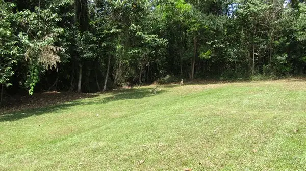 Fourth view of Homely land listing, 21 Campbell Tce, South Mission Beach QLD 4852