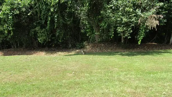 Fifth view of Homely land listing, 21 Campbell Tce, South Mission Beach QLD 4852