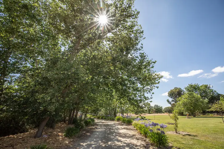 Fourth view of Homely rural property listing, 644 Danbys Rd, Frances SA 5262
