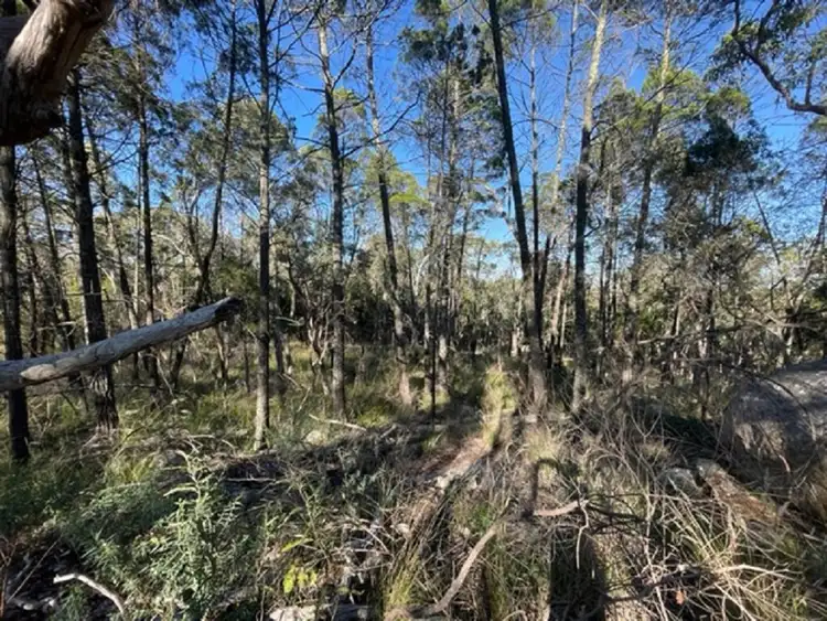 Third view of Homely land listing, 70 Hoey Lane, Thorndale QLD 4380