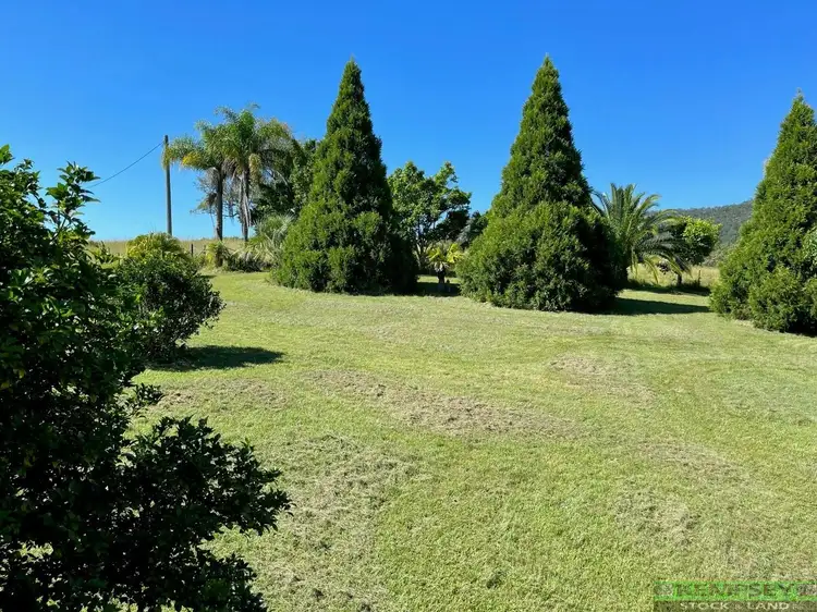Fourth view of Homely rural property listing, 750 Willi Willi Rd, Temagog NSW 2440