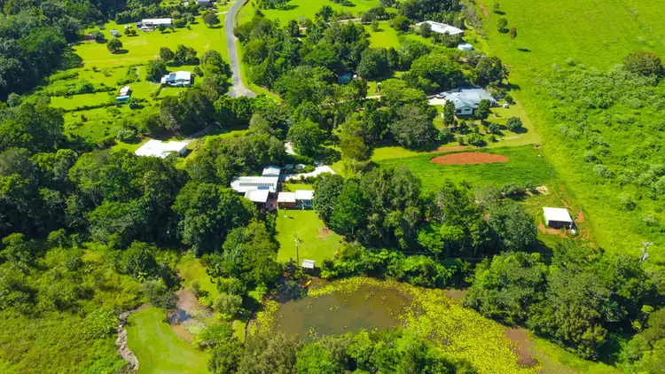 Third view of Homely rural property listing, 49 Peeters Cl, Malanda QLD 4885