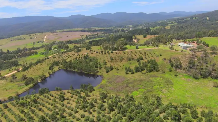 Main view of Homely rural property listing, 201 & 224 Pericoe Rd, Towamba NSW 2550