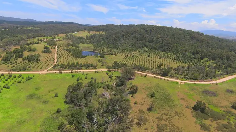Fourth view of Homely rural property listing, 201 & 224 Pericoe Rd, Towamba NSW 2550